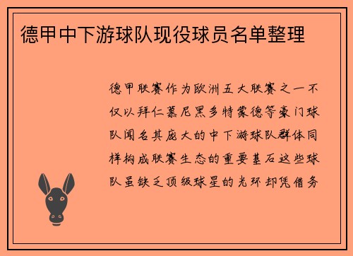 德甲中下游球队现役球员名单整理
